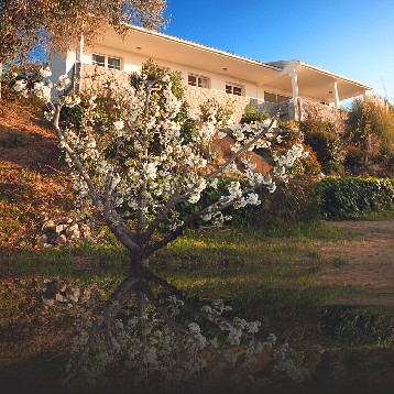 Villa vue du jardin bas